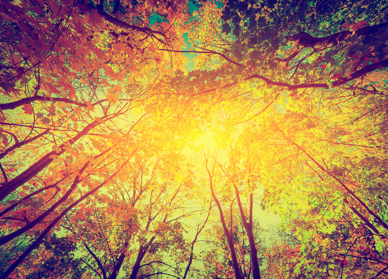 Canvastavla - Autumn