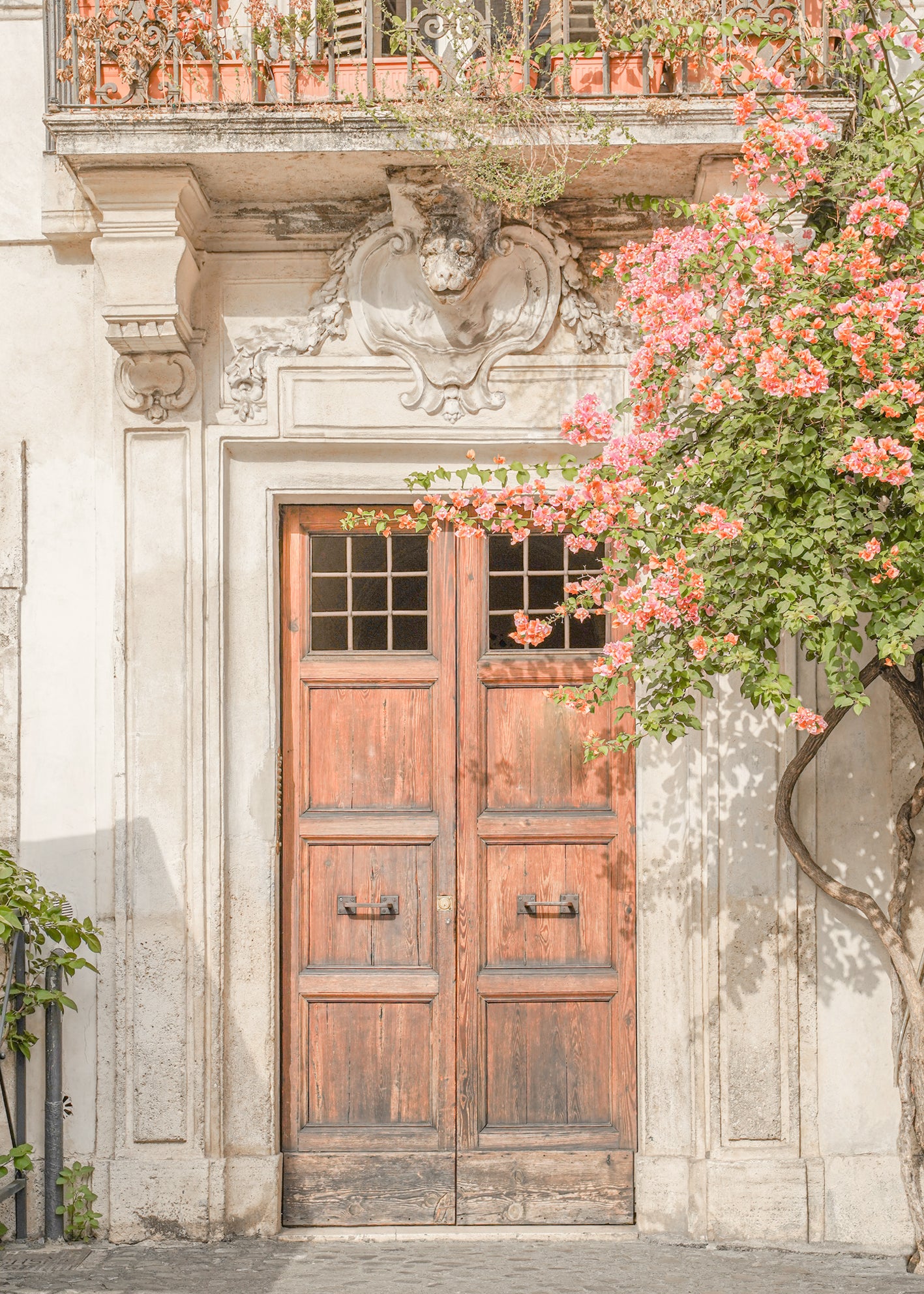 Canvastavla - Blossom Door