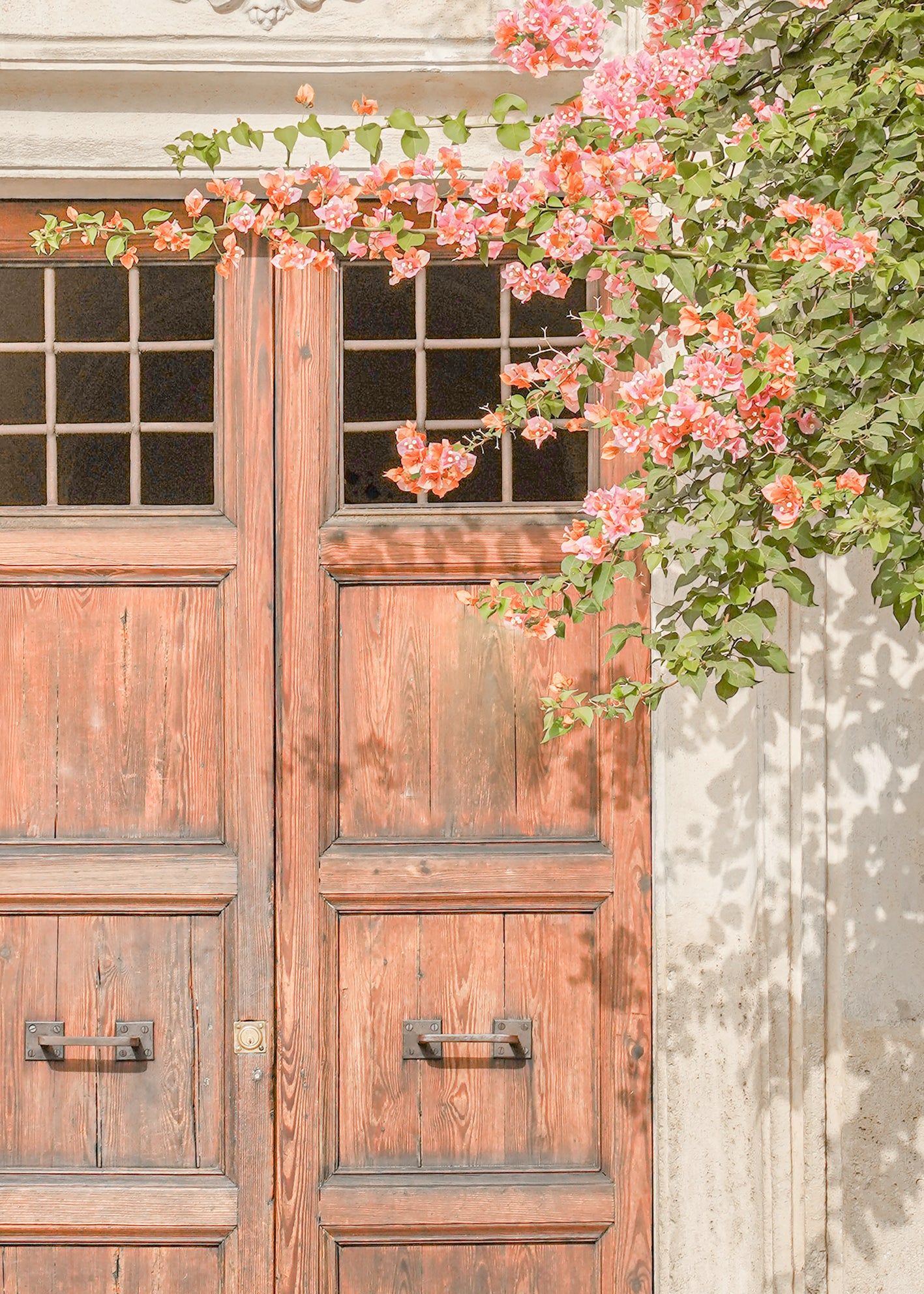 Canvastavla - Blossom Door
