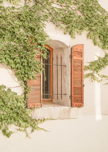 Canvastavla - Verdant Window