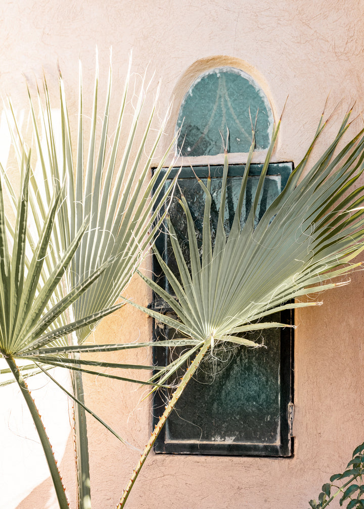 Canvastavla - Palm Window