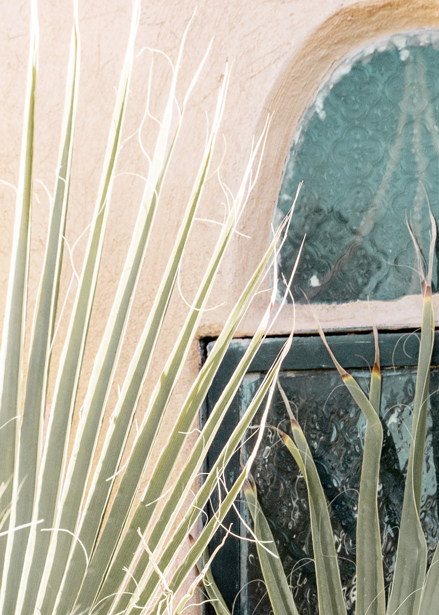 Canvastavla - Palm Window