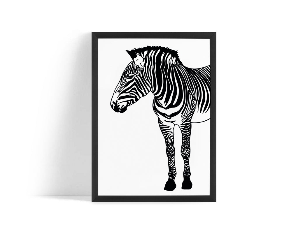 Poster - Zebra