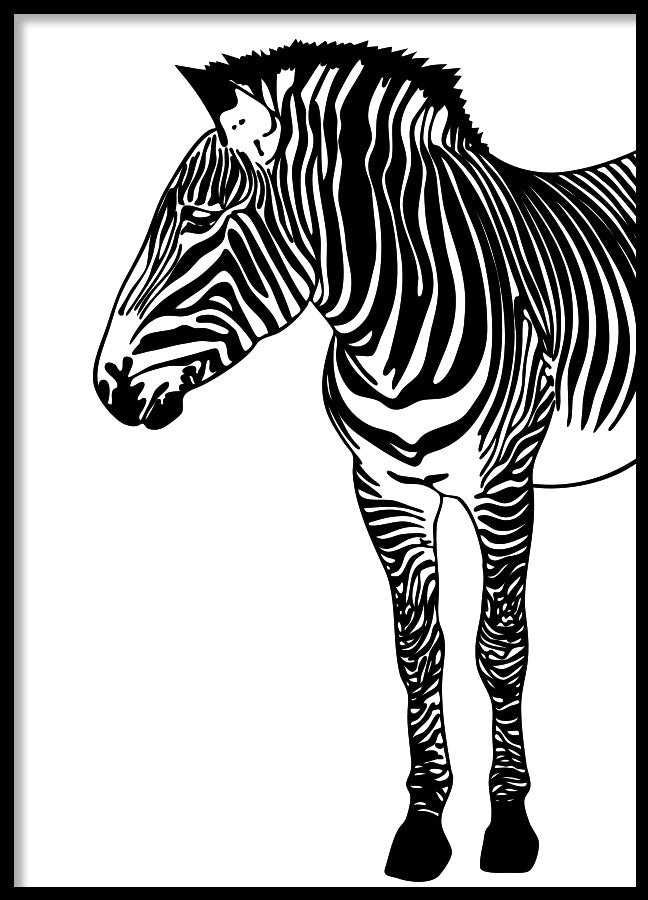 Poster - Zebra