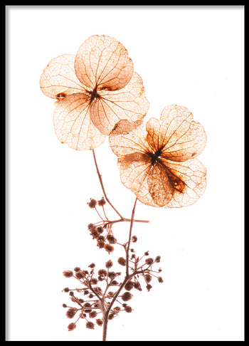 Poster - Orange flow