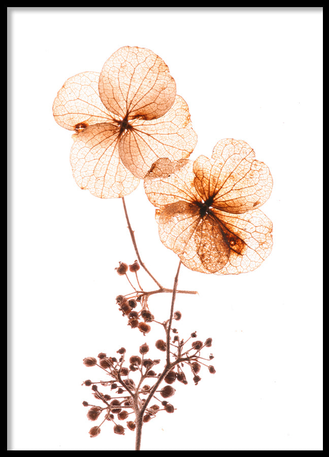 Poster - Orange flow