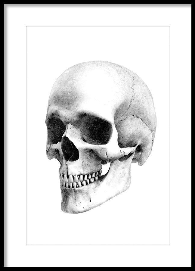 Poster - Skull