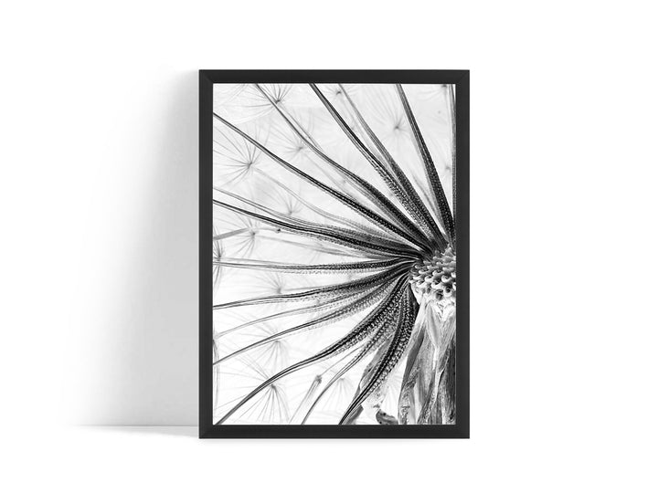 Poster - Flower