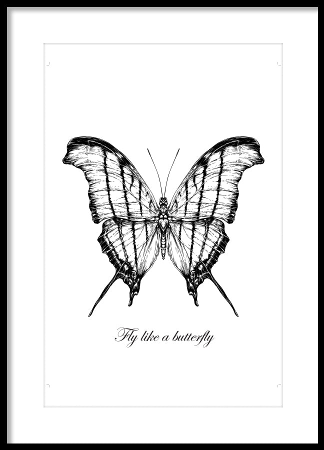 Poster - Butterfly