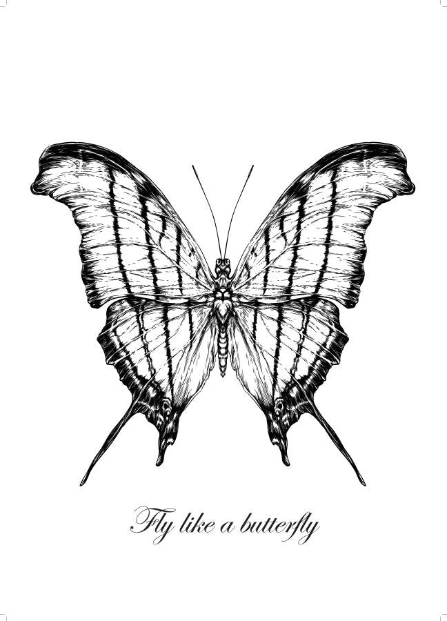 Poster - Butterfly