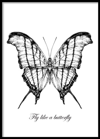 Poster - Butterfly