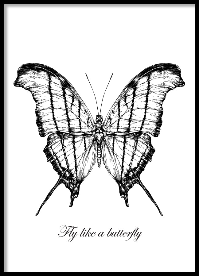 Poster - Butterfly