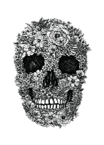 Poster - Skull