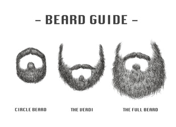 Poster - Beard Guide