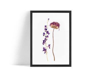 Poster - Dried flower