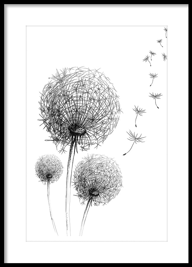 Poster - Dandelion