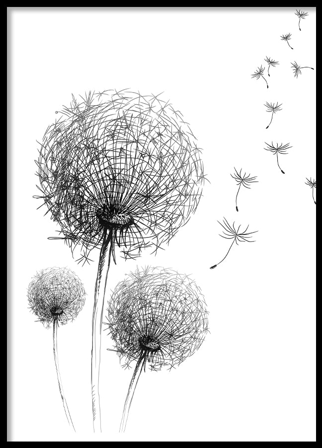 Poster - Dandelion