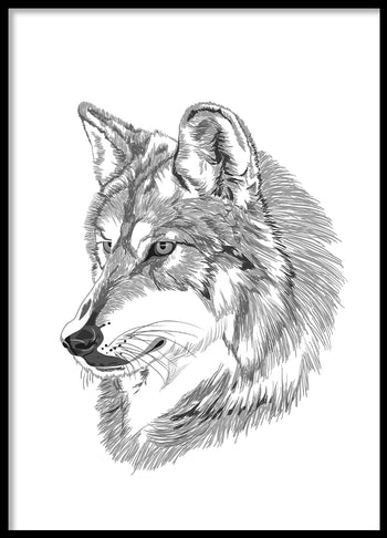 Poster - Wolf