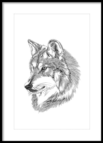 Poster - Wolf