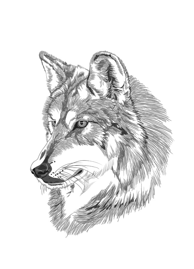 Poster - Wolf