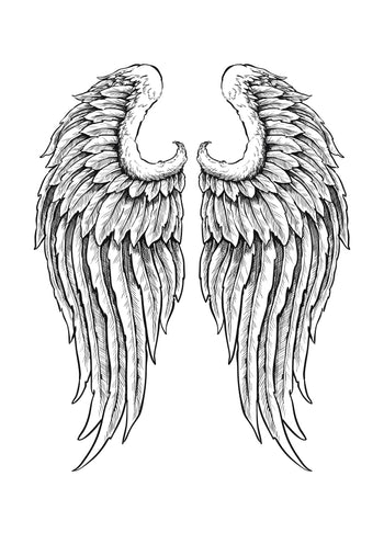 Poster - Wings