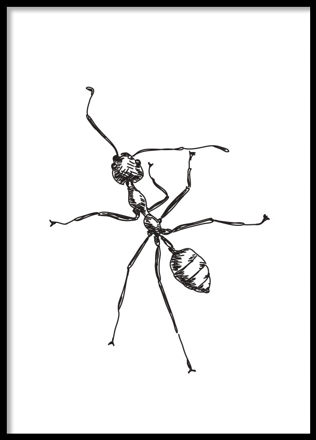 Poster - Ant