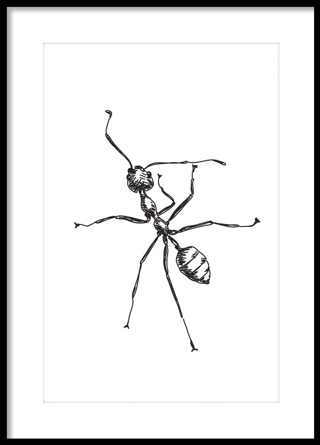 Poster - Ant