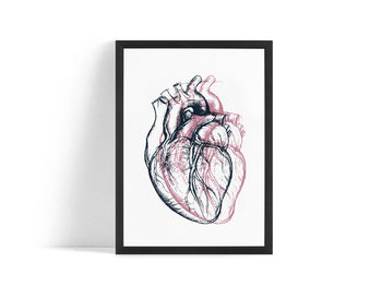 Poster - Heart