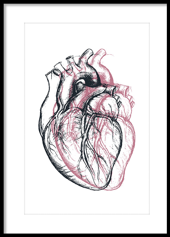 Poster - Heart