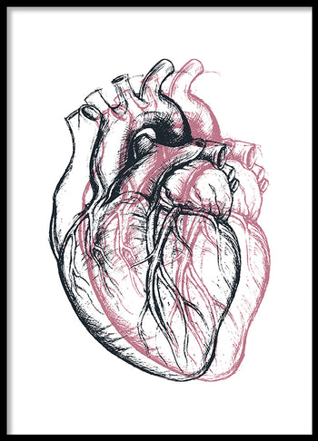 Poster - Heart