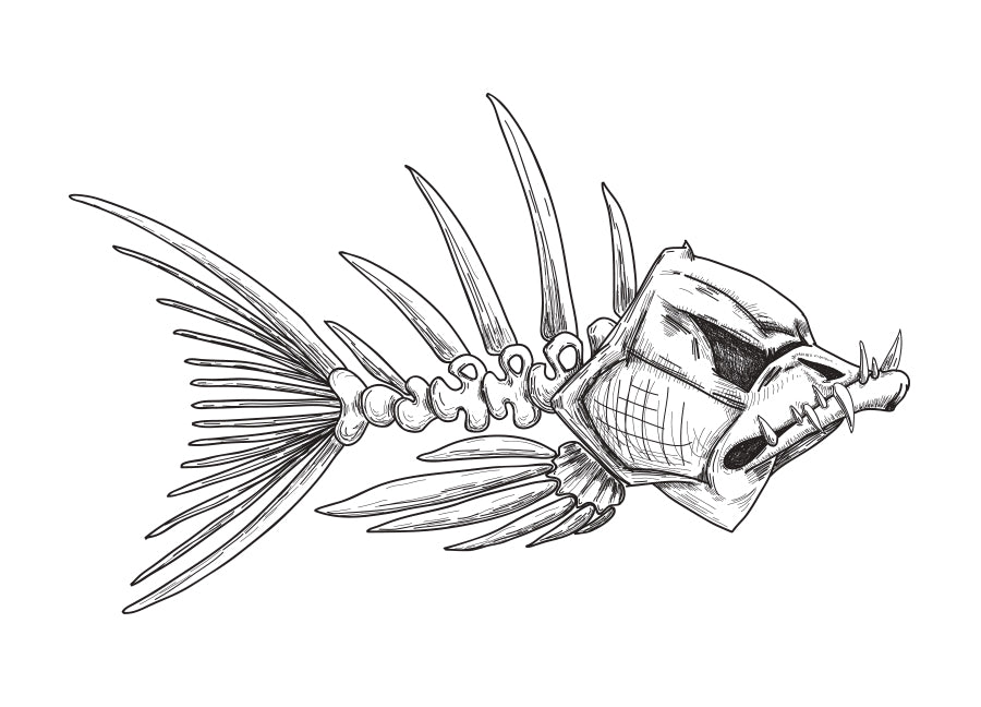 Poster - Fishbone