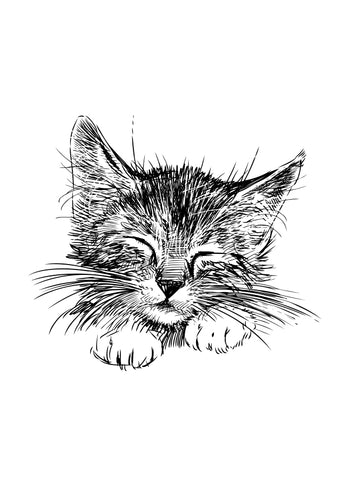 Poster - Cute cat