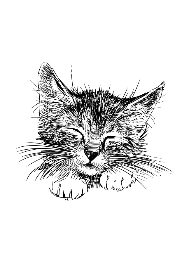 Poster - Cute cat