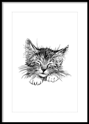 Poster - Cute cat