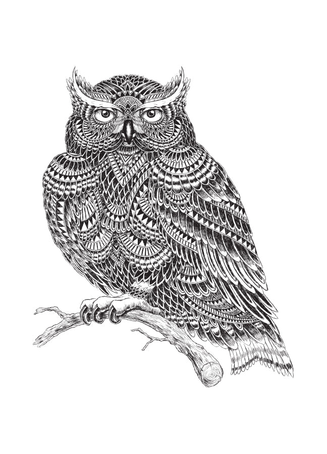 Poster - Owl