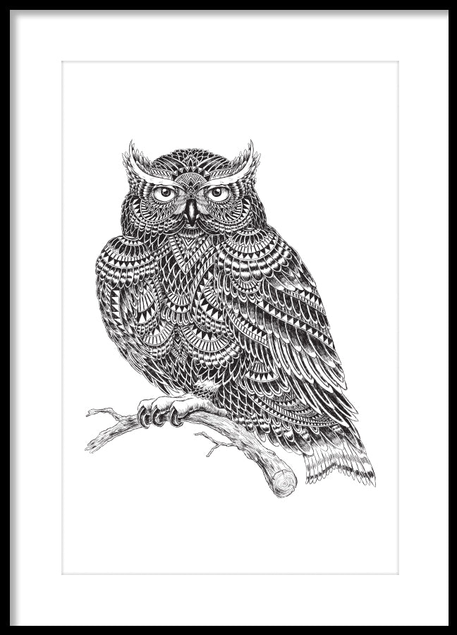 Poster - Owl