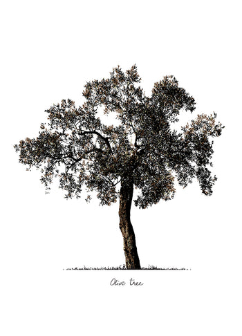 Poster - Tree