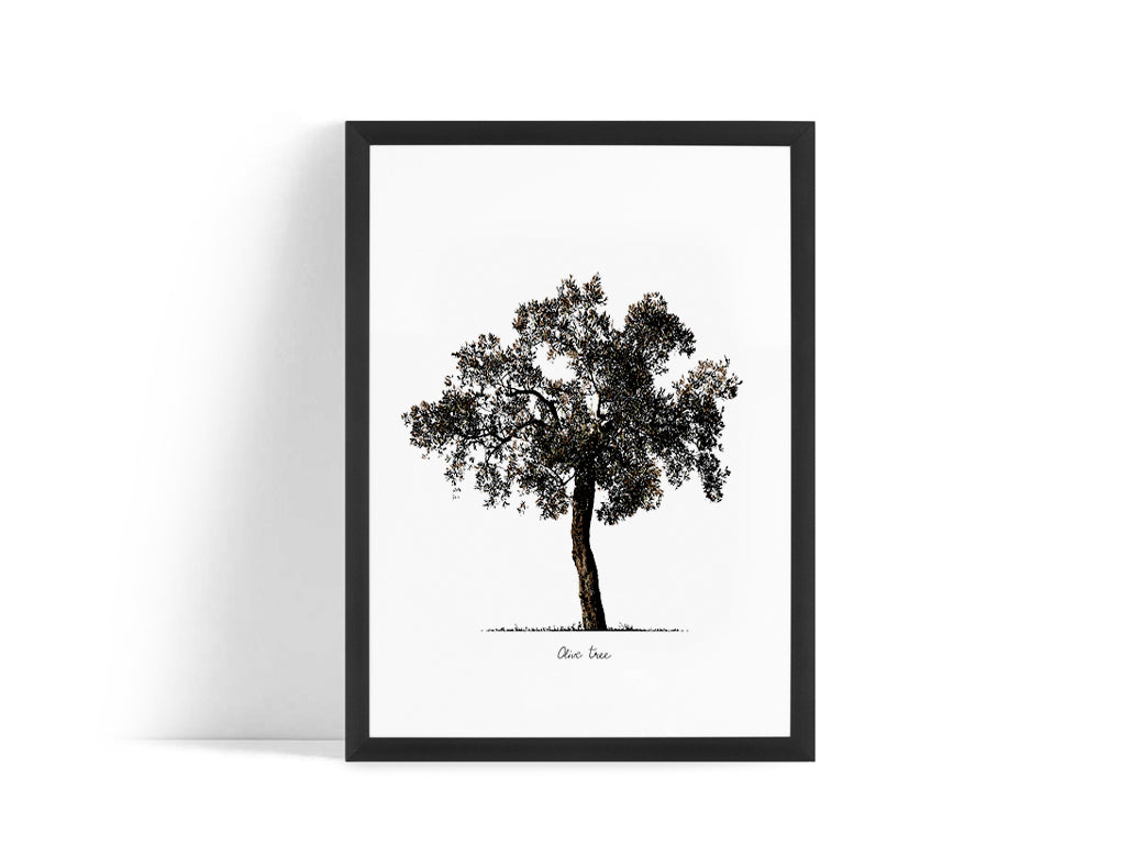 Poster - Tree