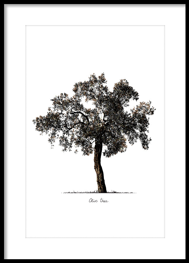 Poster - Tree