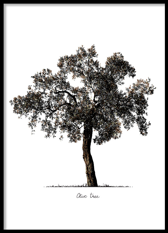 Poster - Tree
