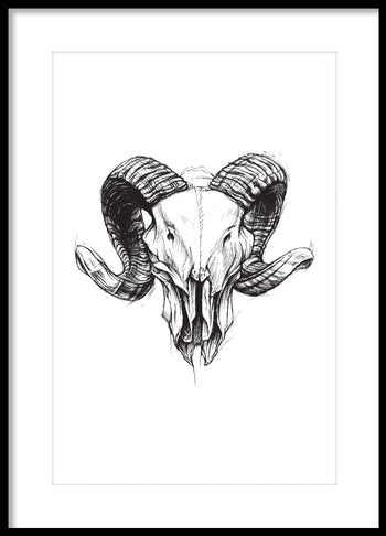 Poster - Ram skull