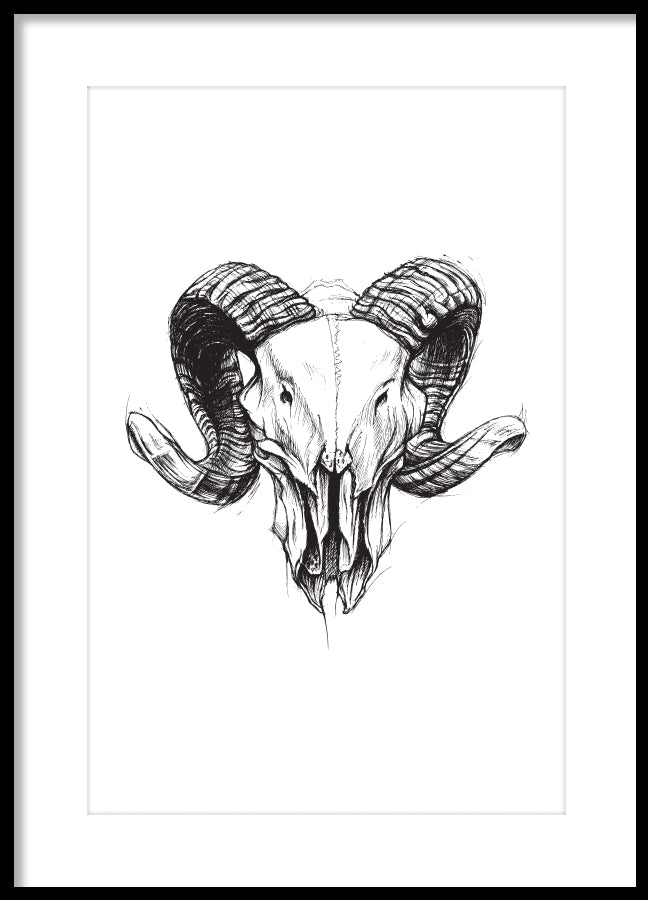 Poster - Ram skull