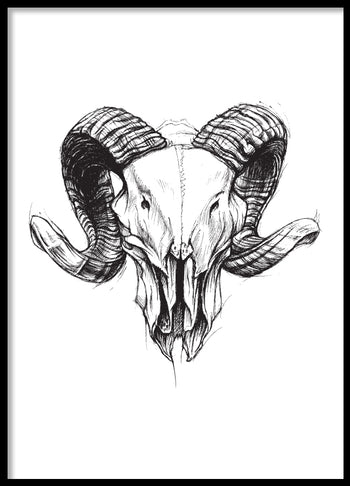 Poster - Ram skull