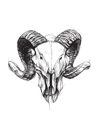 Poster - Ram skull