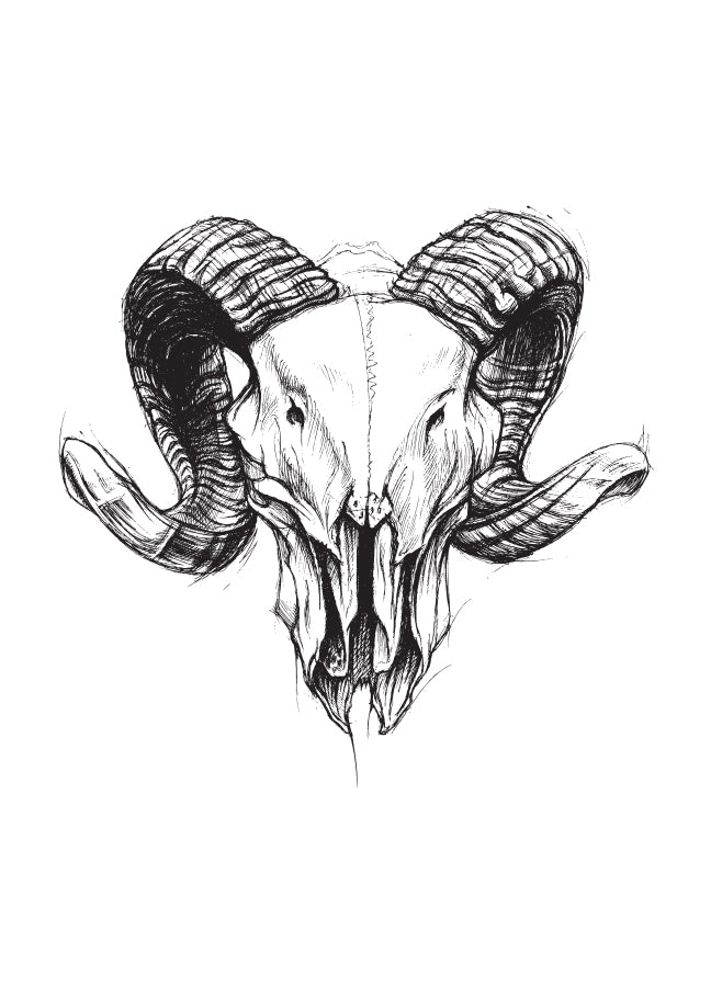Poster - Ram skull