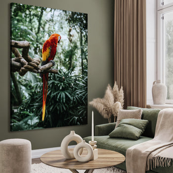 Canvastavla - Parrot