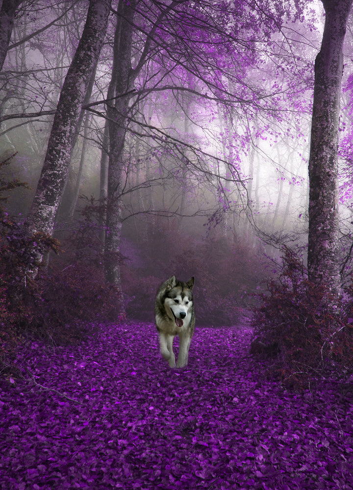 Canvastavla - Purple forest
