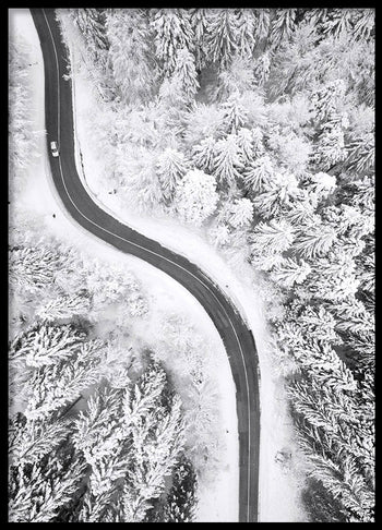 Poster - North