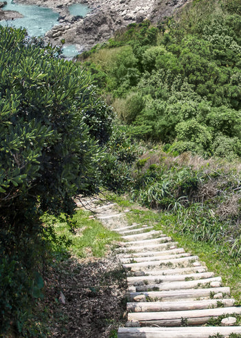 Canvastavla - Road to sea