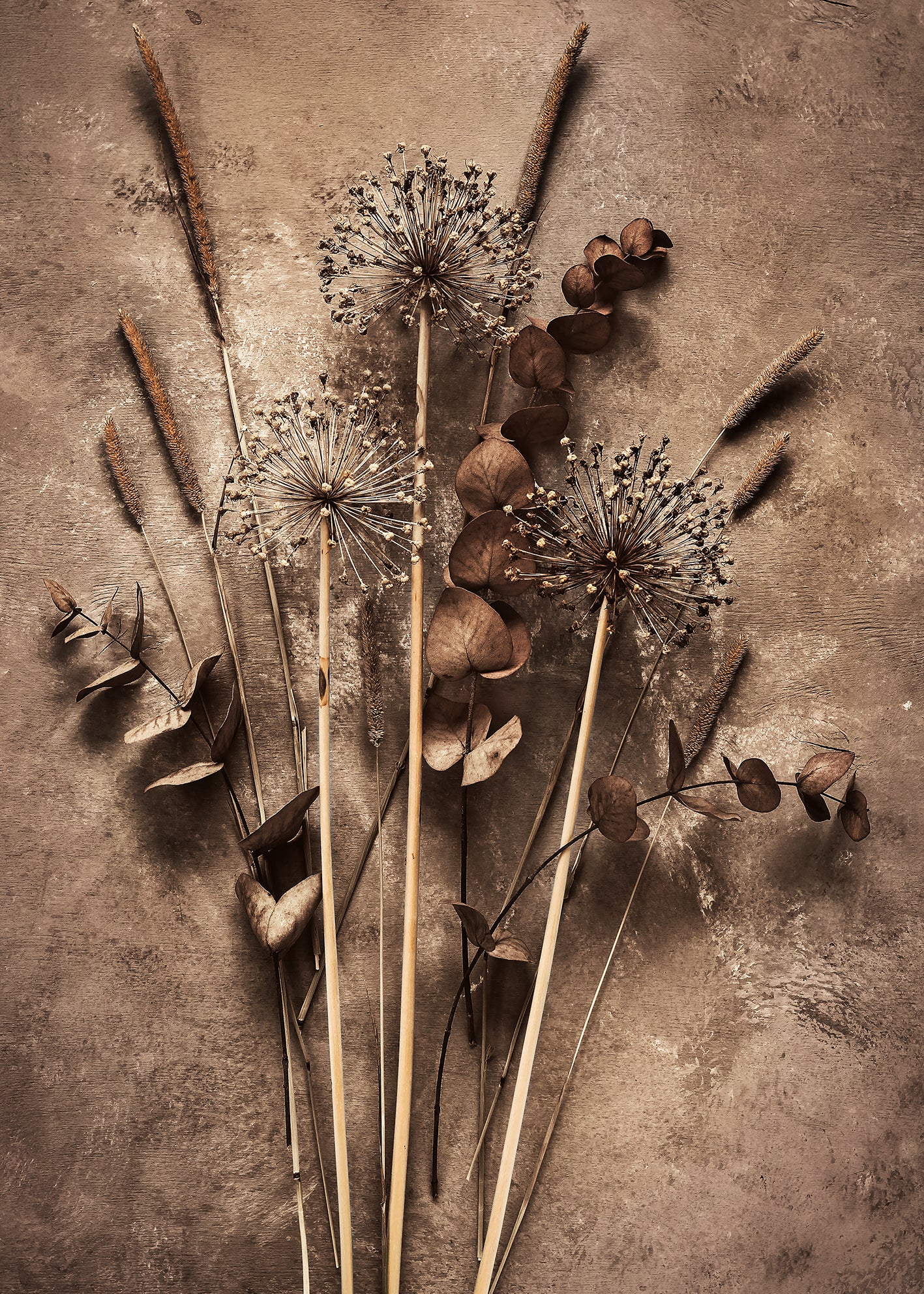 Canvastavla - Art of Flowers